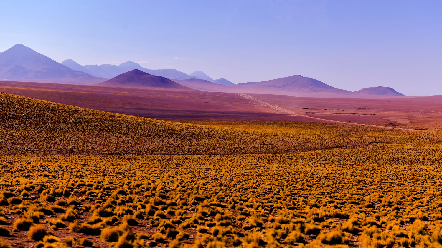 ATACAMA DESERT / CHILE